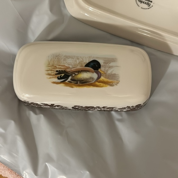 Spode Woodland - Picture 6 of 11